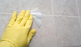 removing mould from bathroom
